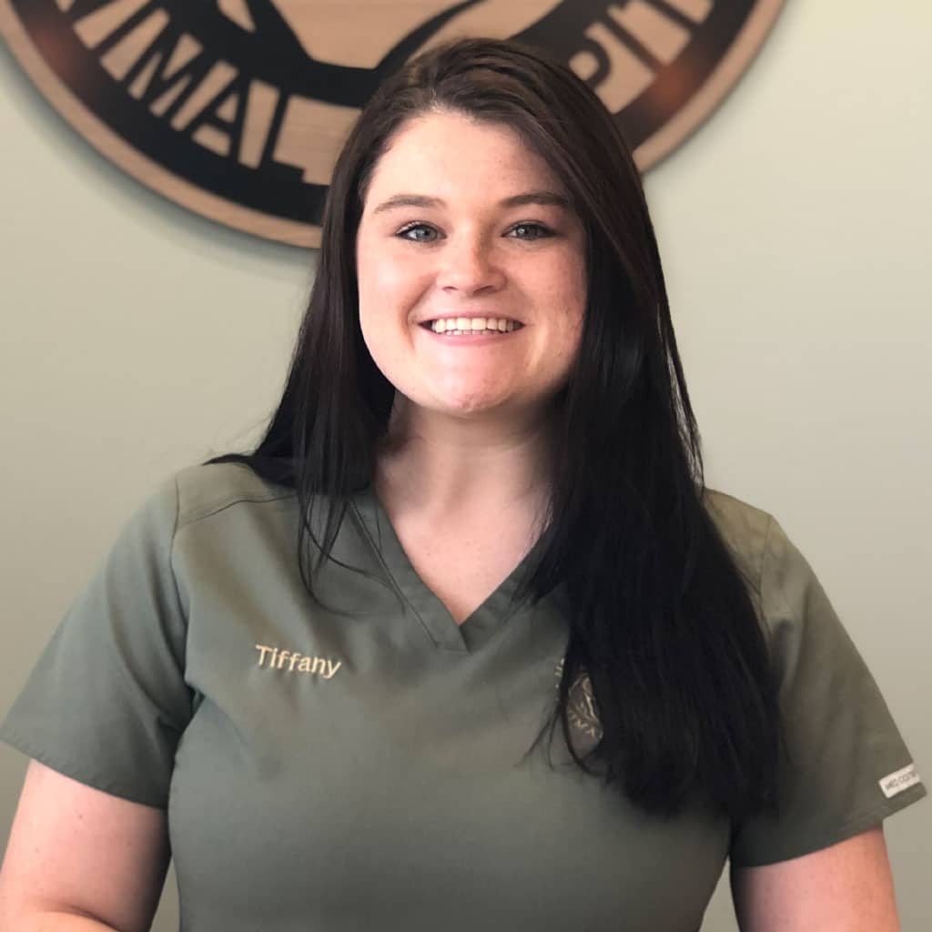 Our Team • North Forsyth Animal Hospital • Veterinarian in Cumming, GA