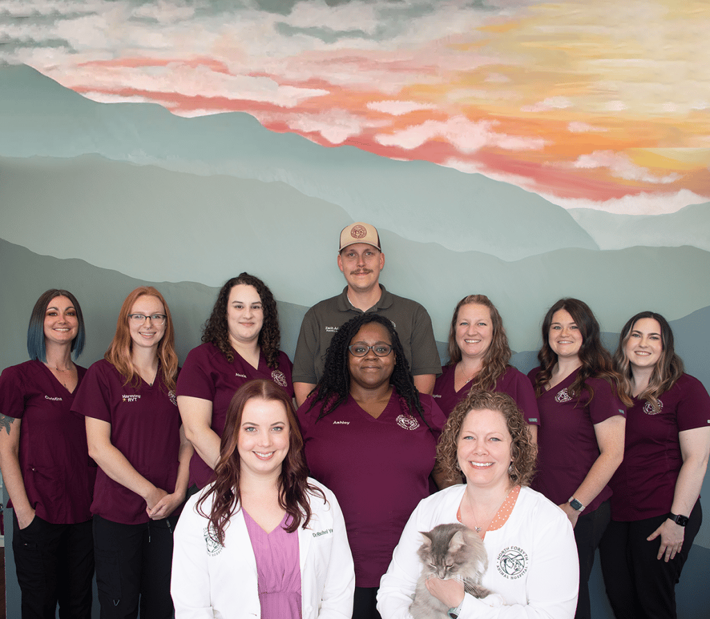 About Us • North Forsyth Animal Hospital • (678) 2089000