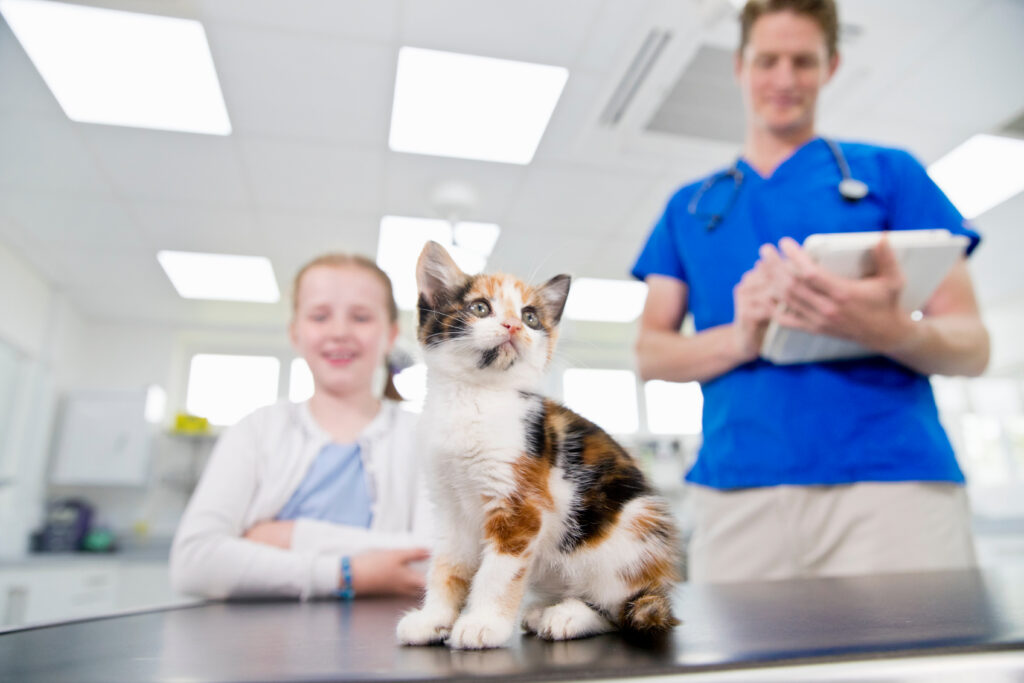 Signs Your Pet Needs a Wellness Checkup